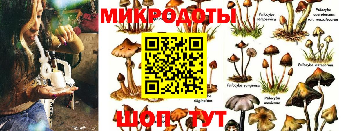 Ахтубинск  Псилоцибиновые грибы прущие грибы  Вход с VPN 